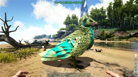 【ARK: Survival Evolved】アイランドの心強い相棒『アルゲンタ.